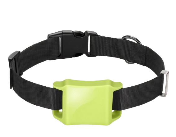 Rastreador GPS Besti en collar negro